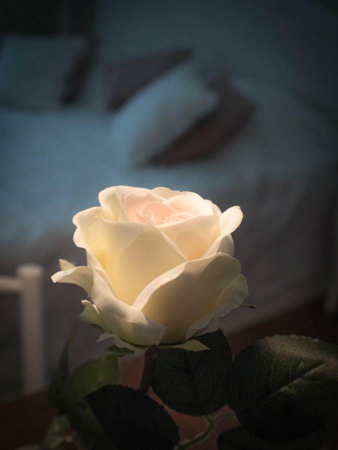 Feliz Apartman Gyula Exteriér fotografie